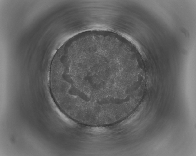 X0000111001383200907311022