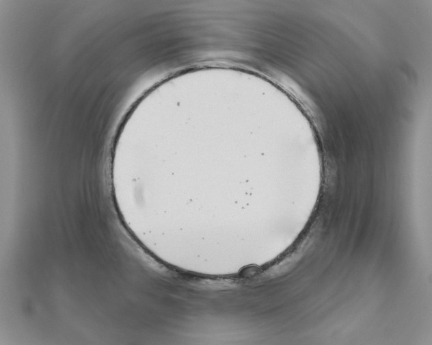 X0000111001384200907311022