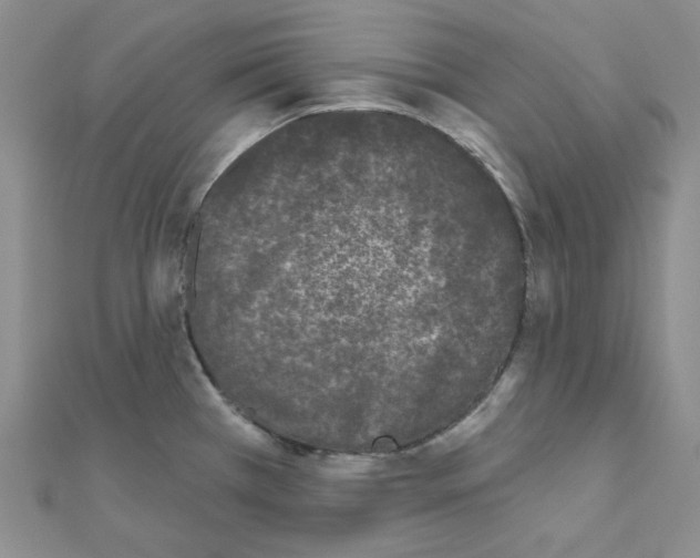 X0000111001385200907311022