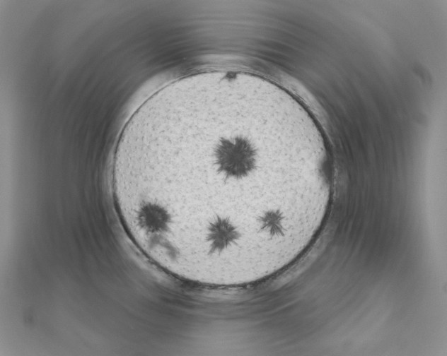 X0000111001386200907311022