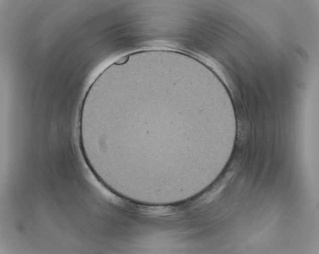 X0000111001387200907311022