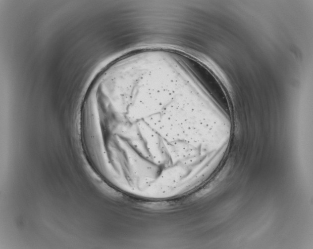 X0000111001388200907311022