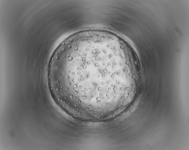 X0000111001389200907311022