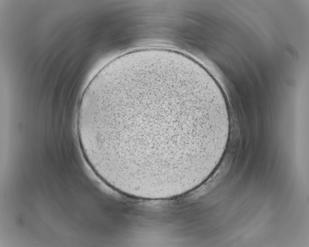 X0000111001390200907311022