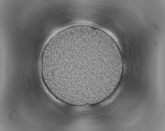 X0000111001391200907311022