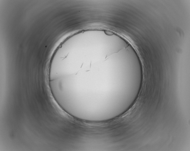 X0000111001392200907311022