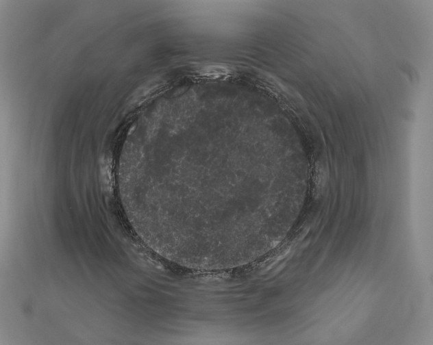 X0000111001394200907311021