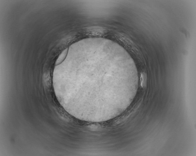 X0000111001395200907311021