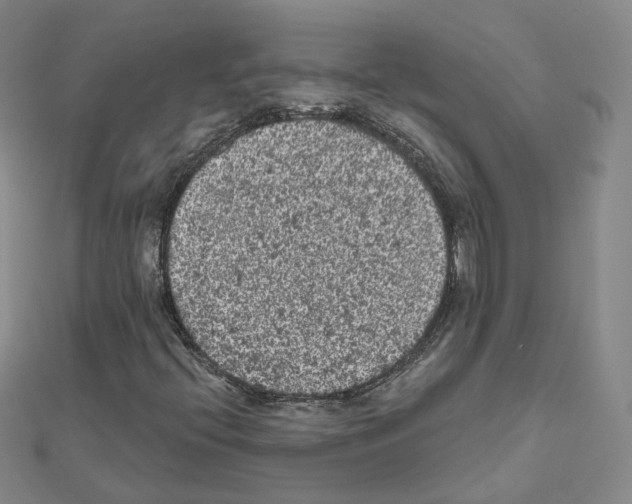 X0000111001396200907311021