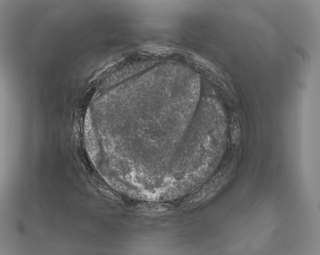 X0000111001397200907311021