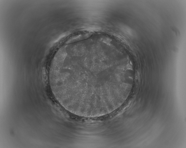 X0000111001398200907311021