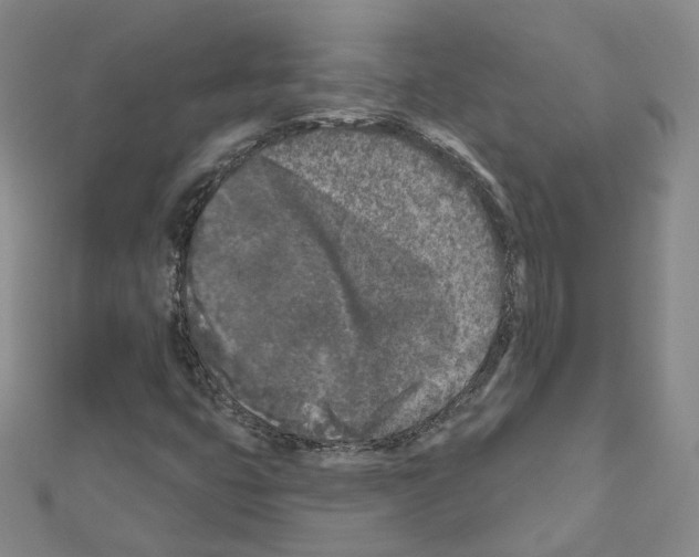 X0000111001399200907311021