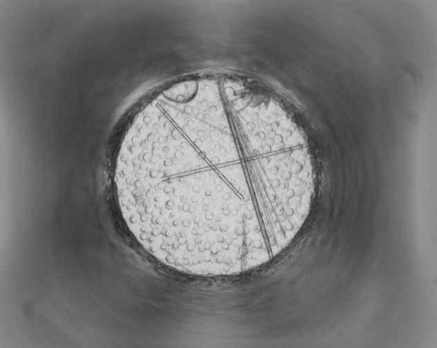 X0000111001400200907311021