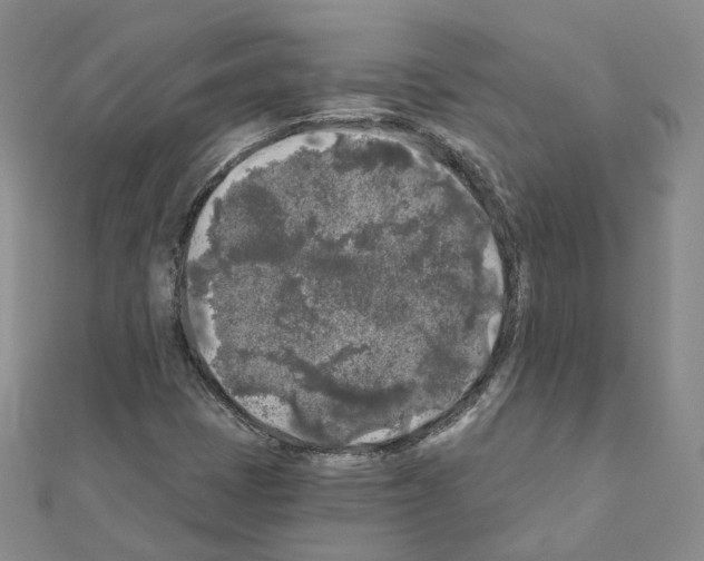 X0000111001401200907311021