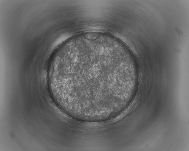 X0000111001402200907311021