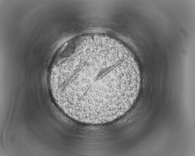 X0000111001404200907311021