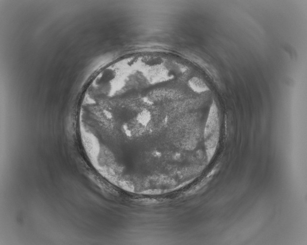 X0000111001405200907311021