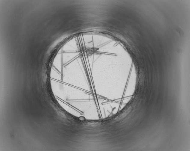 X0000111001406200907311021