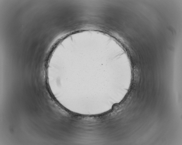 X0000111001408200907311021