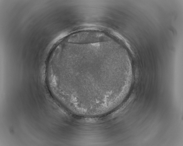 X0000111001411200907311021