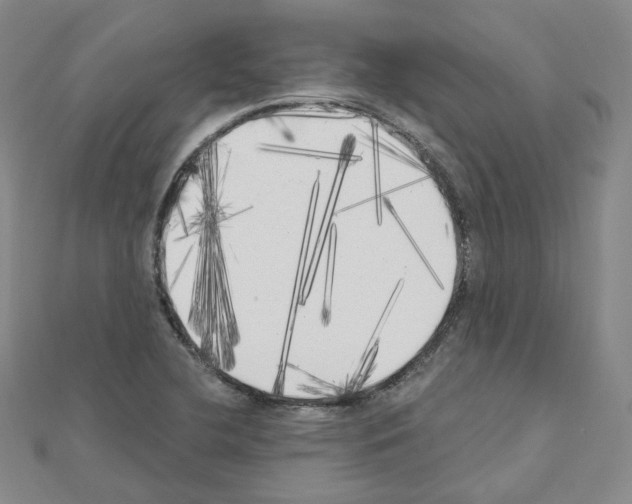 X0000111001412200907311021