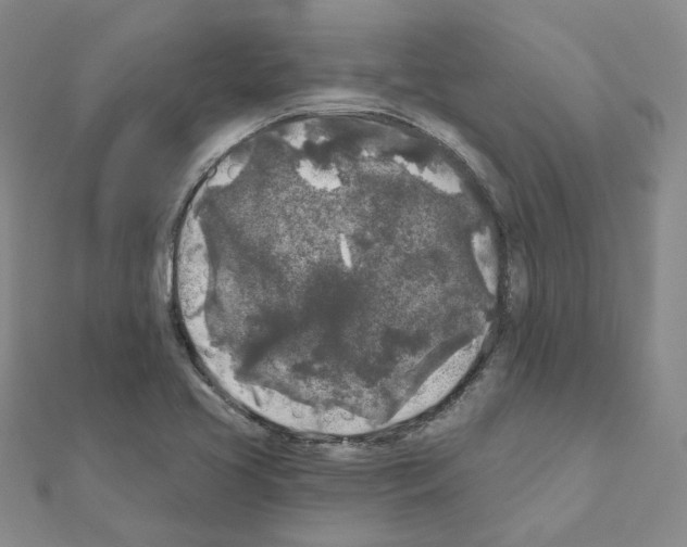 X0000111001413200907311021