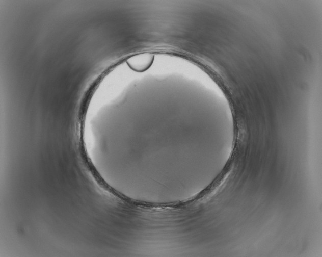 X0000111001414200907311021