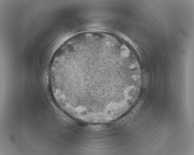 X0000111001415200907311021