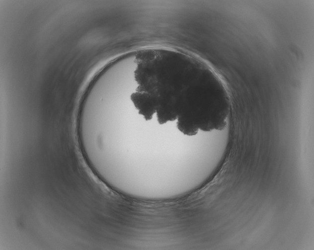 X0000111001416200907311021