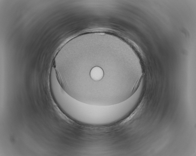 X0000111001417200907311021