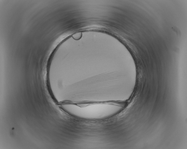 X0000111001418200907311021