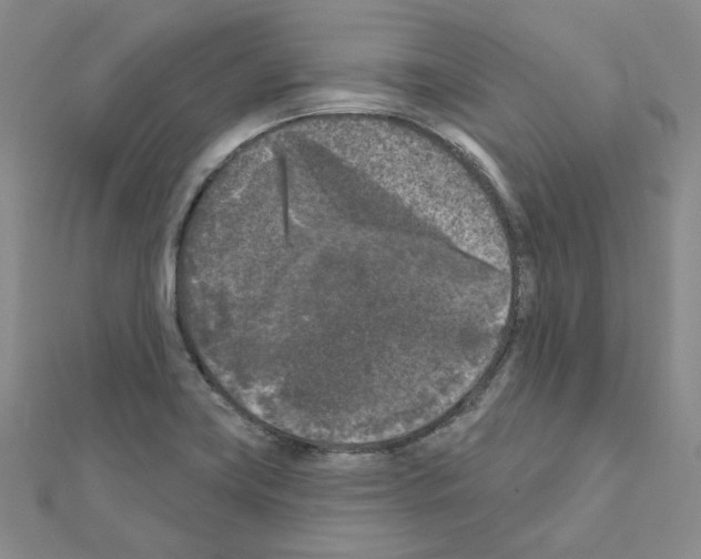 X0000111001419200907311021