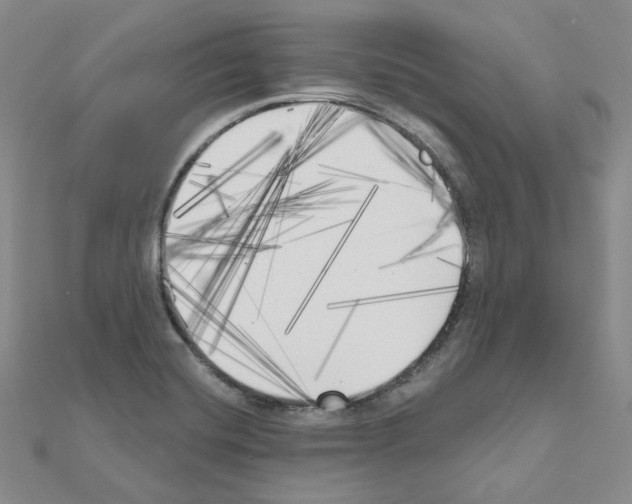 X0000111001420200907311021