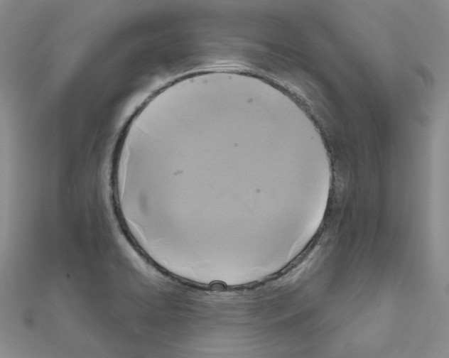 X0000111001422200907311021