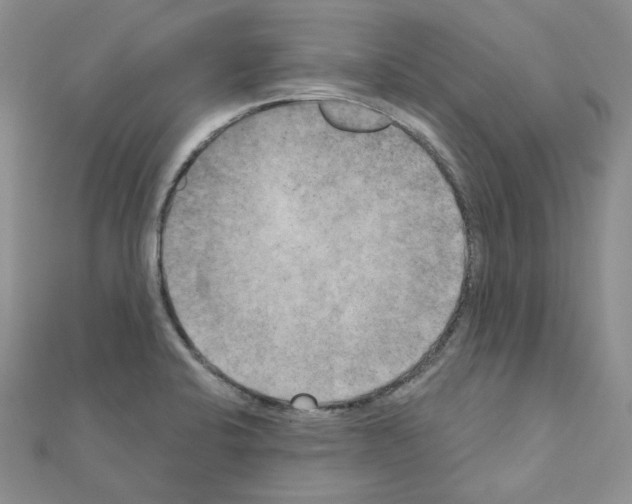 X0000111001424200907311022