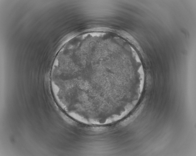 X0000111001425200907311022