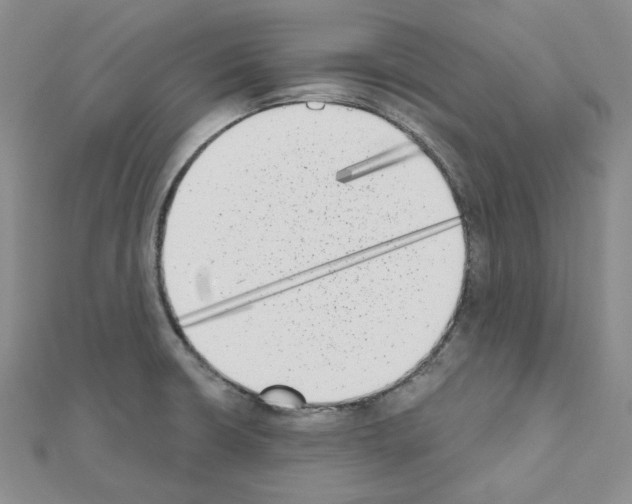 X0000111001426200907311022