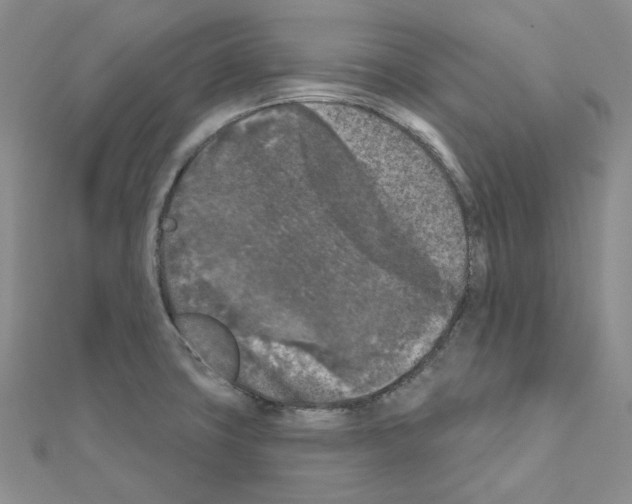 X0000111001427200907311022