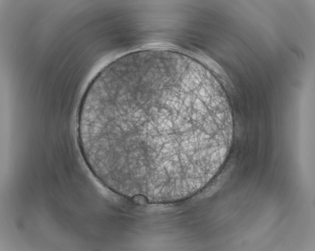 X0000111001430200907311022