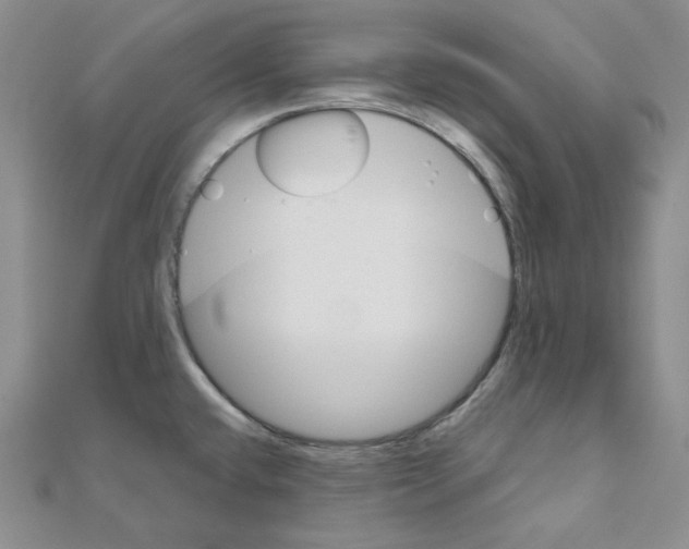 X0000111001432200907311022