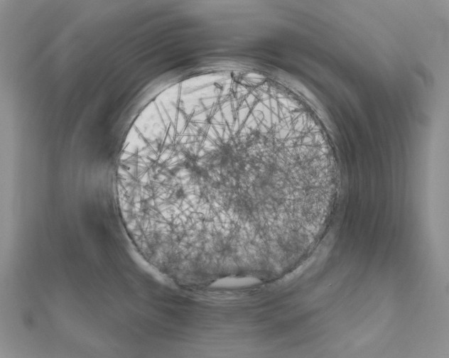 X0000111001433200907311022