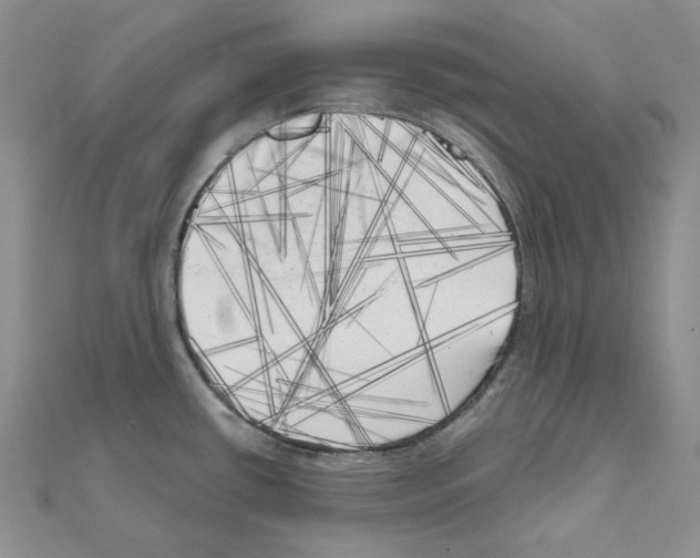 X0000111001434200907311022