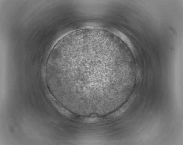 X0000111001435200907311022