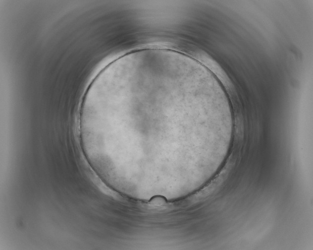 X0000111001436200907311022