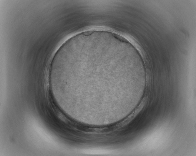 X0000111001438200907311022