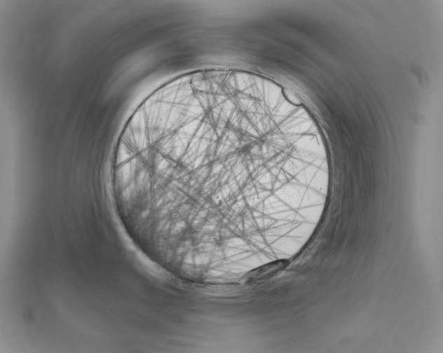 X0000111001440200907311022