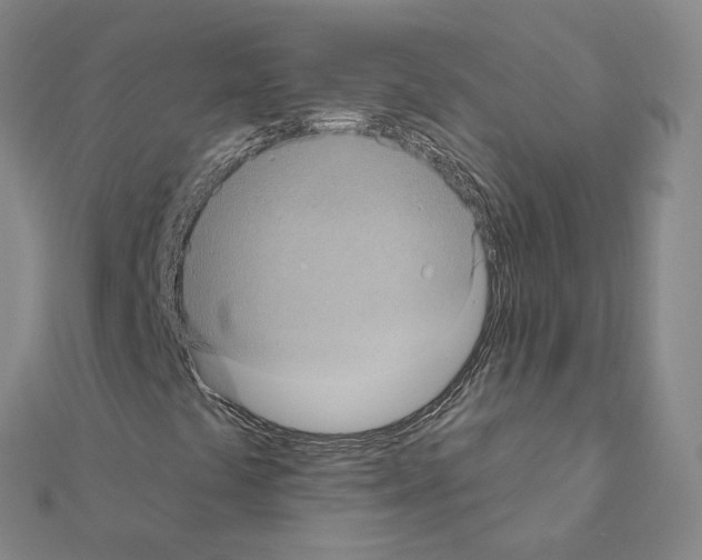 X0000111001441200907311021