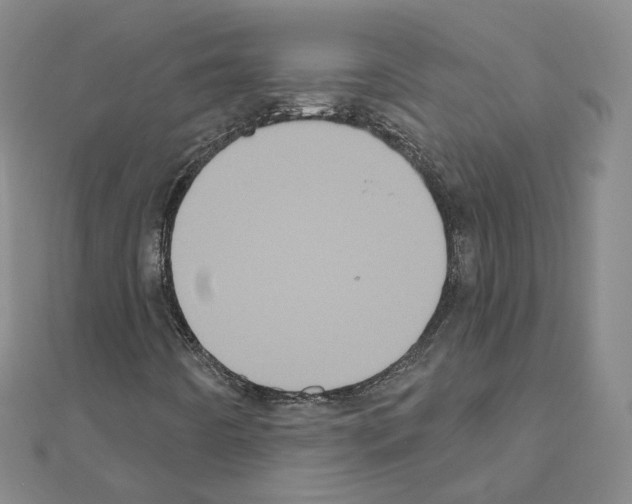 X0000111001442200907311021