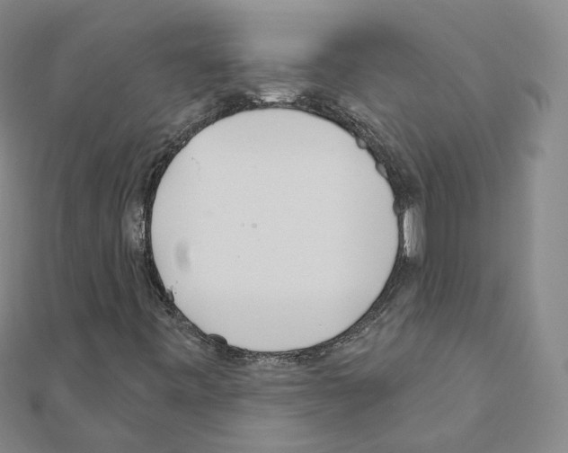 X0000111001443200907311021