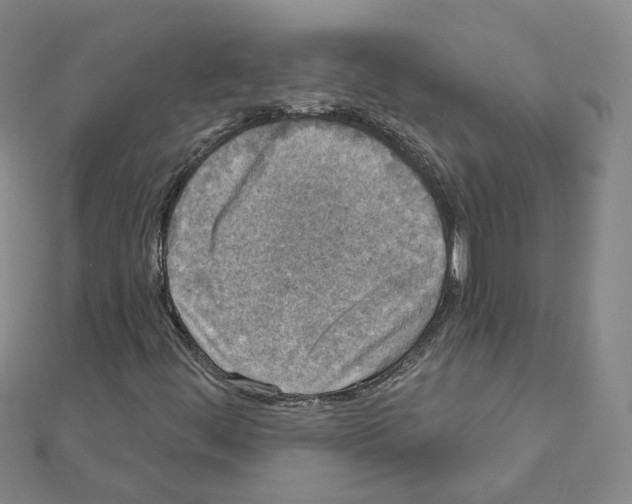 X0000111001444200907311021